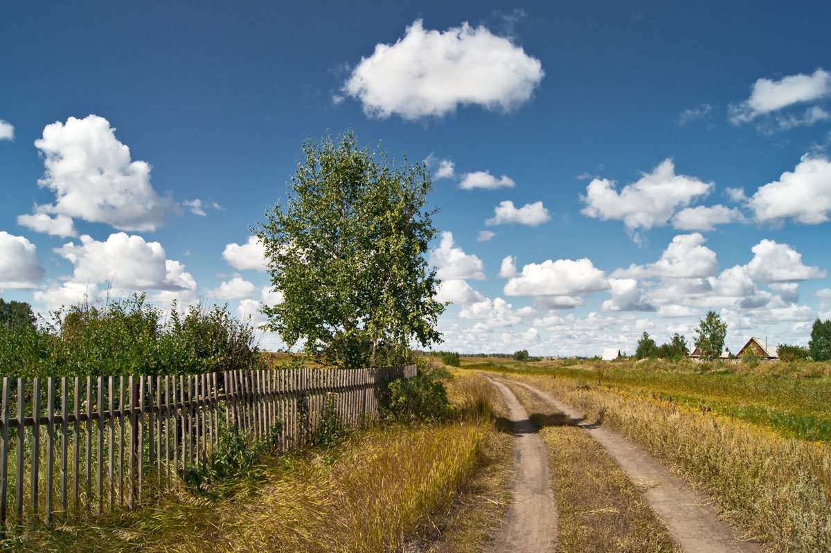 Фото Дачных Дорог