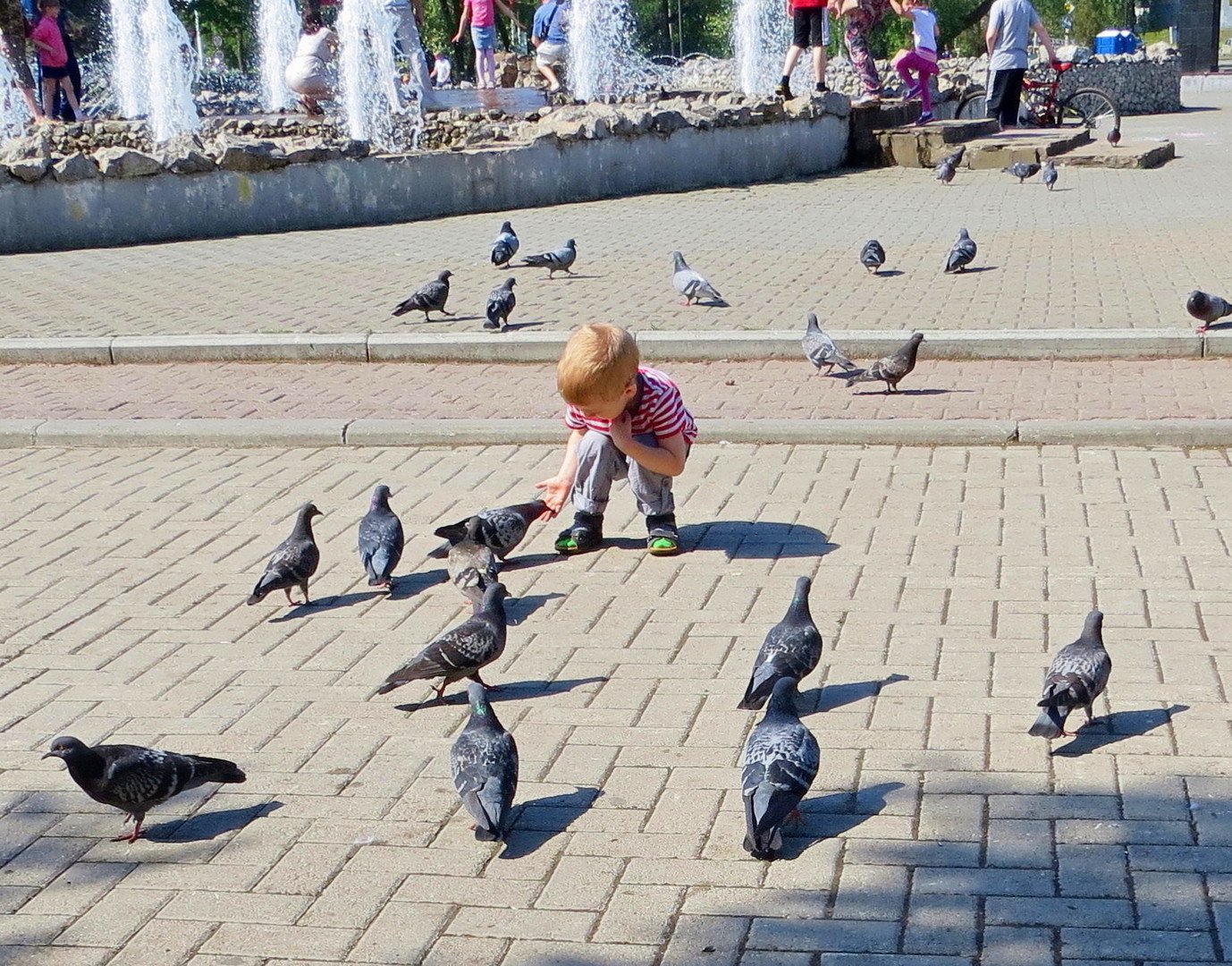 Голуби и дети фото