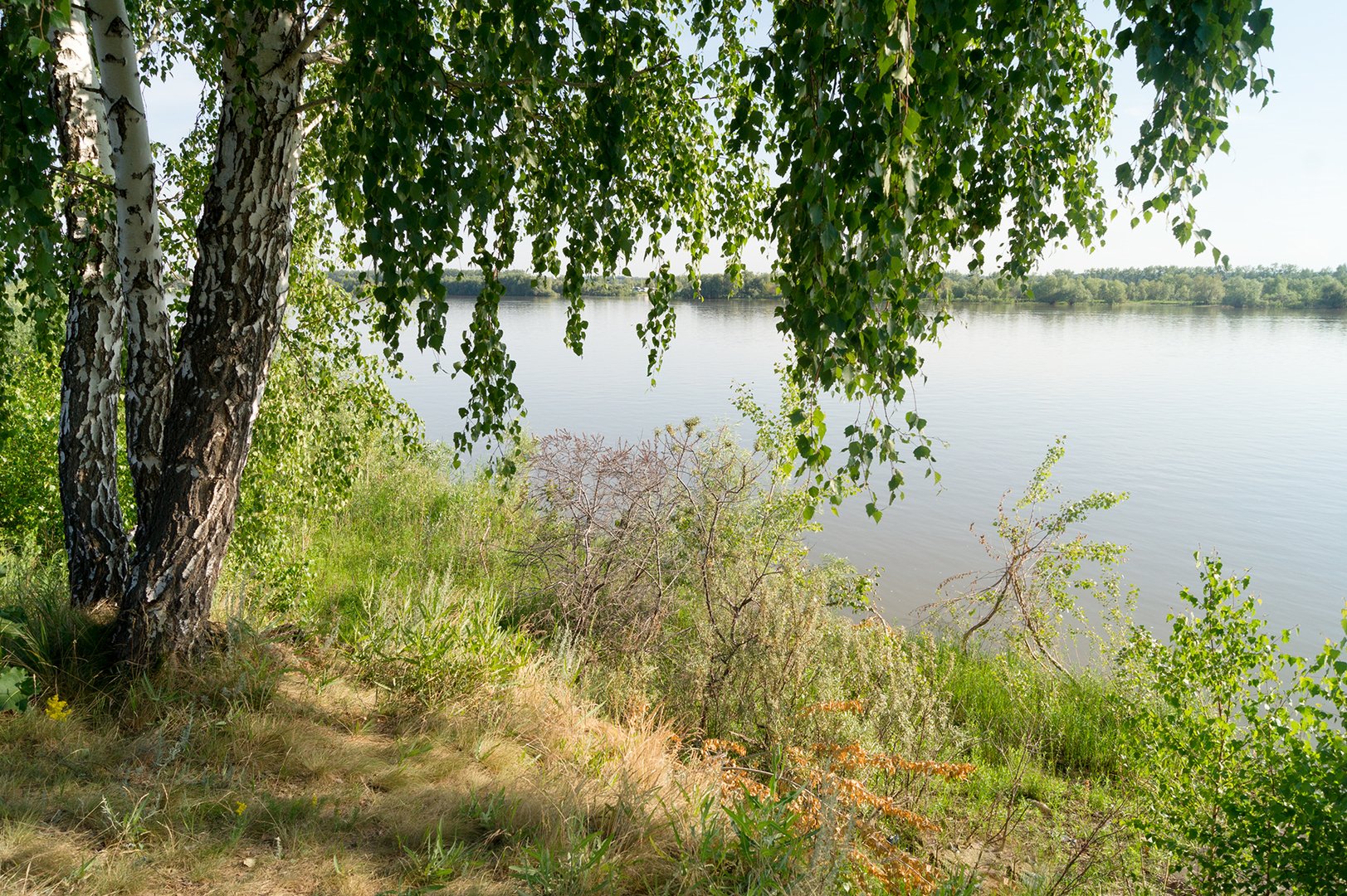 Река иртыш омская область