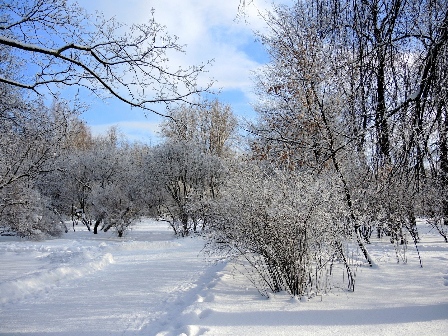 Февраль фото. Парк Екатерингоф зимний. Иней в парке. Парк Екатерингоф зимой. Изморозь в парке.