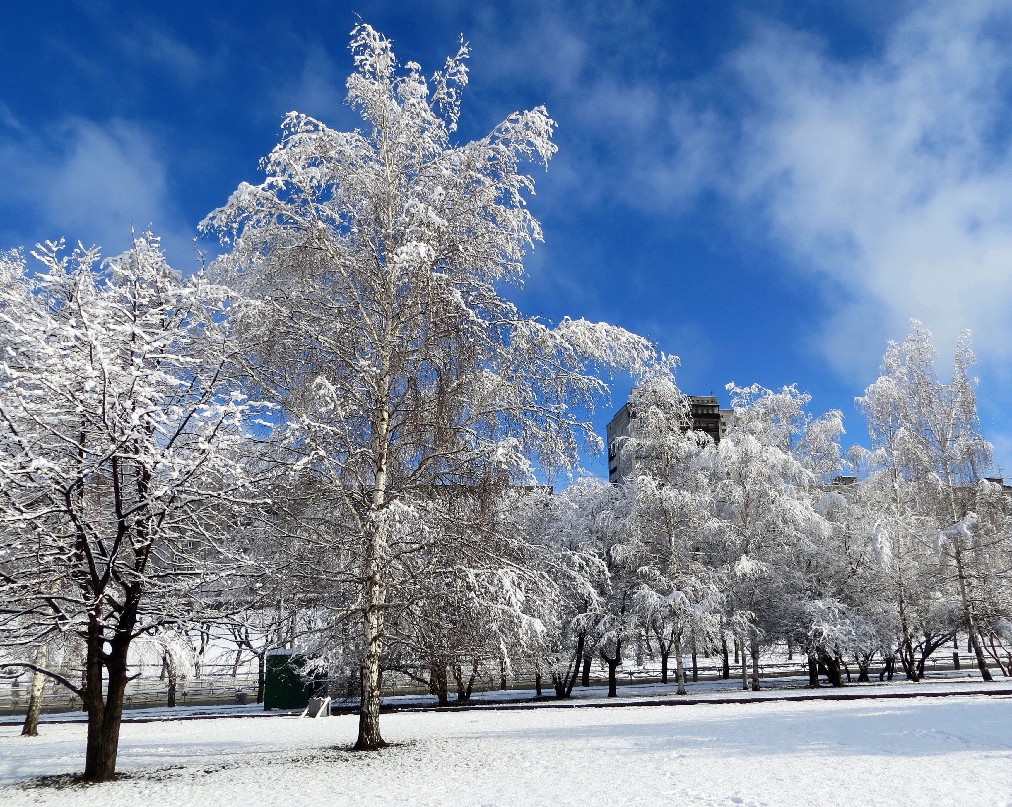 Апрельский снег фото