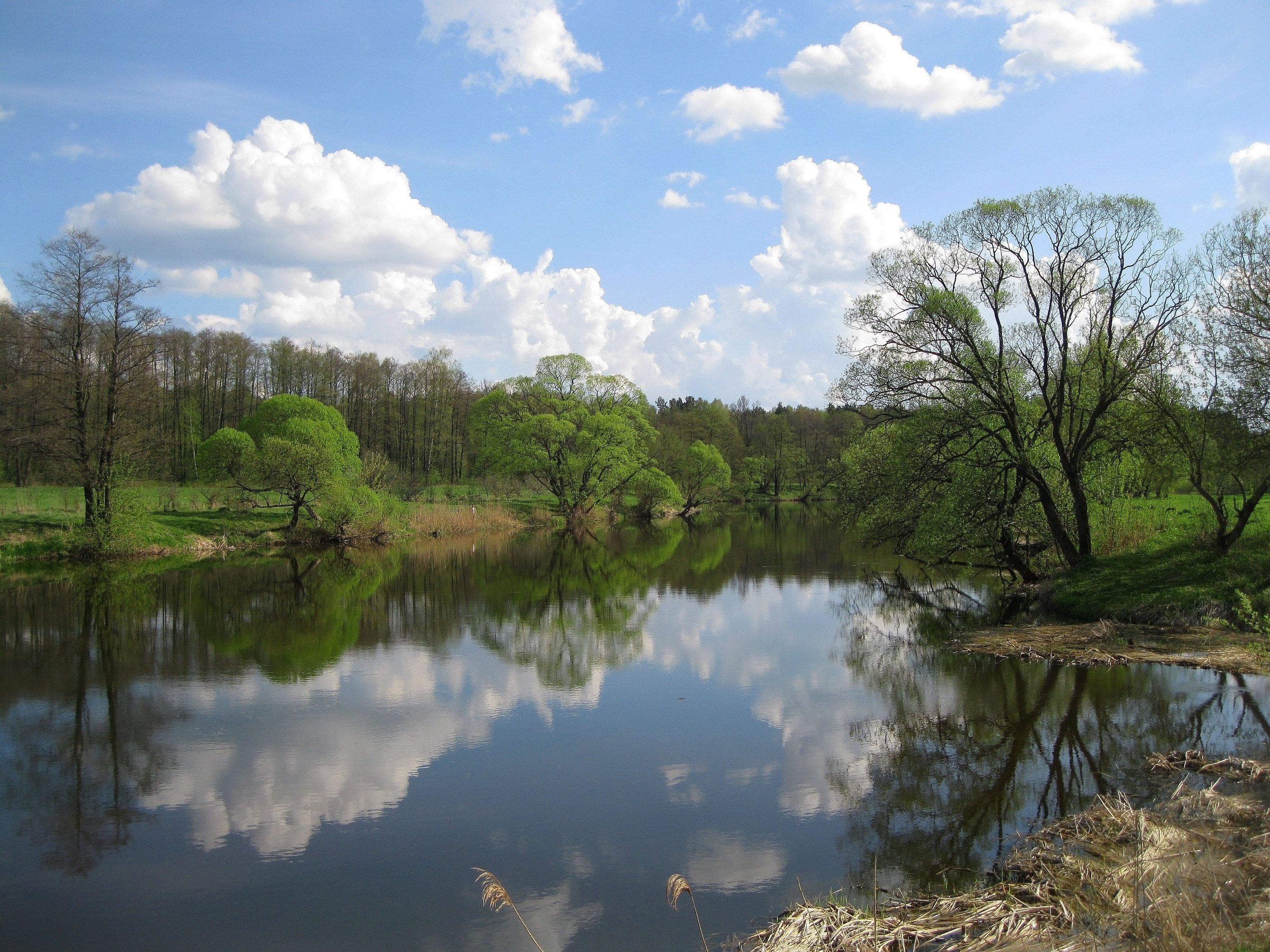 река горынь