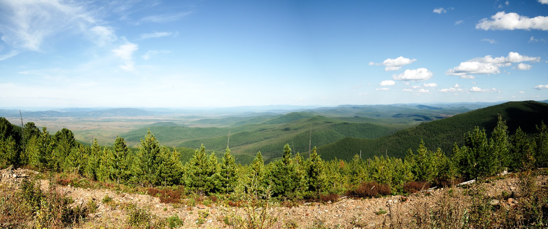 Ногаан хол тожу фото