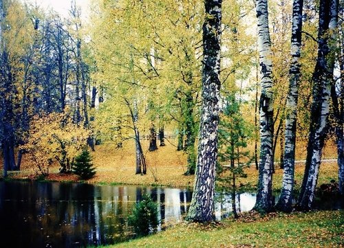 Осенью в Михайловском