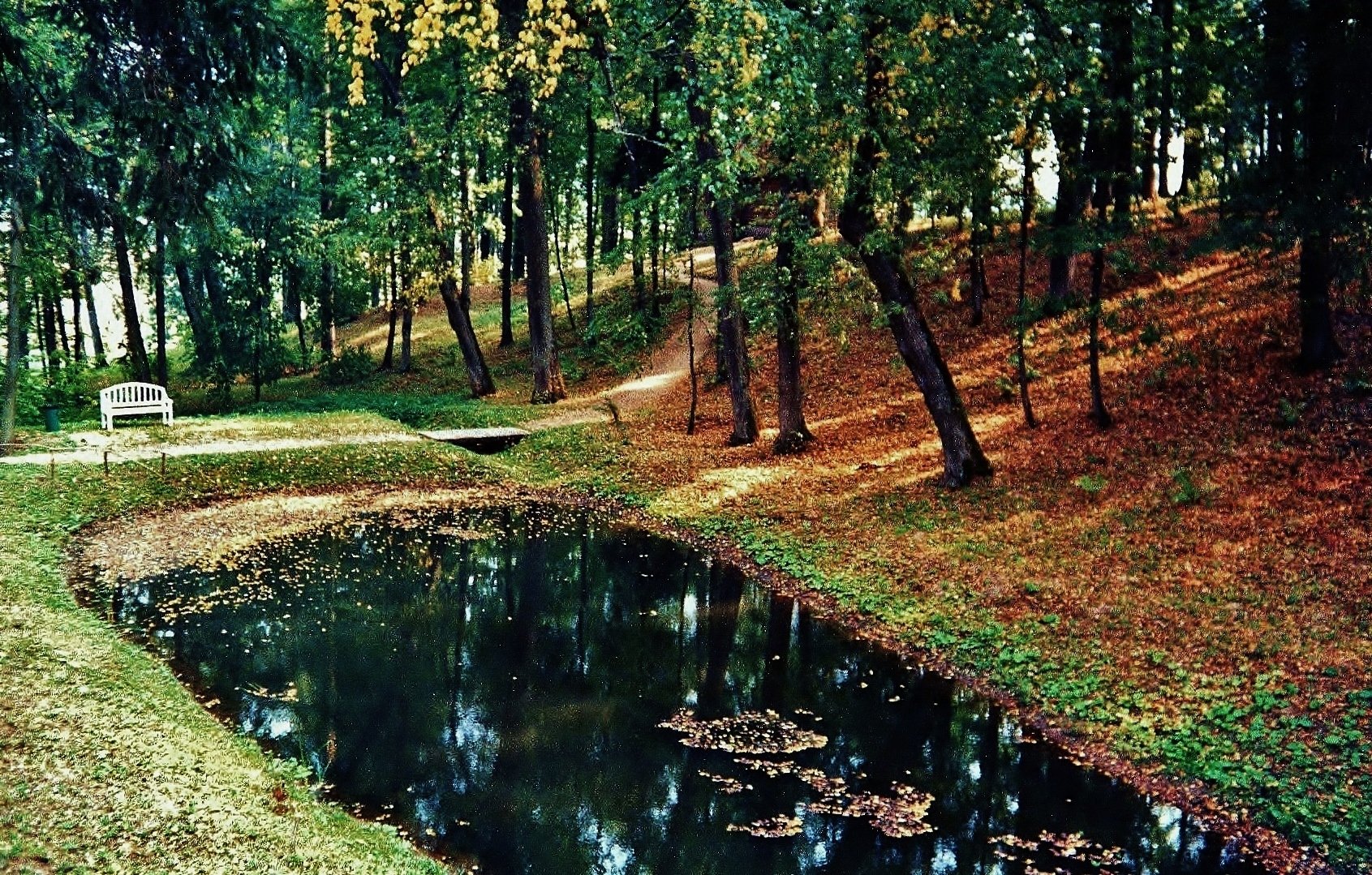 парк в михайловском