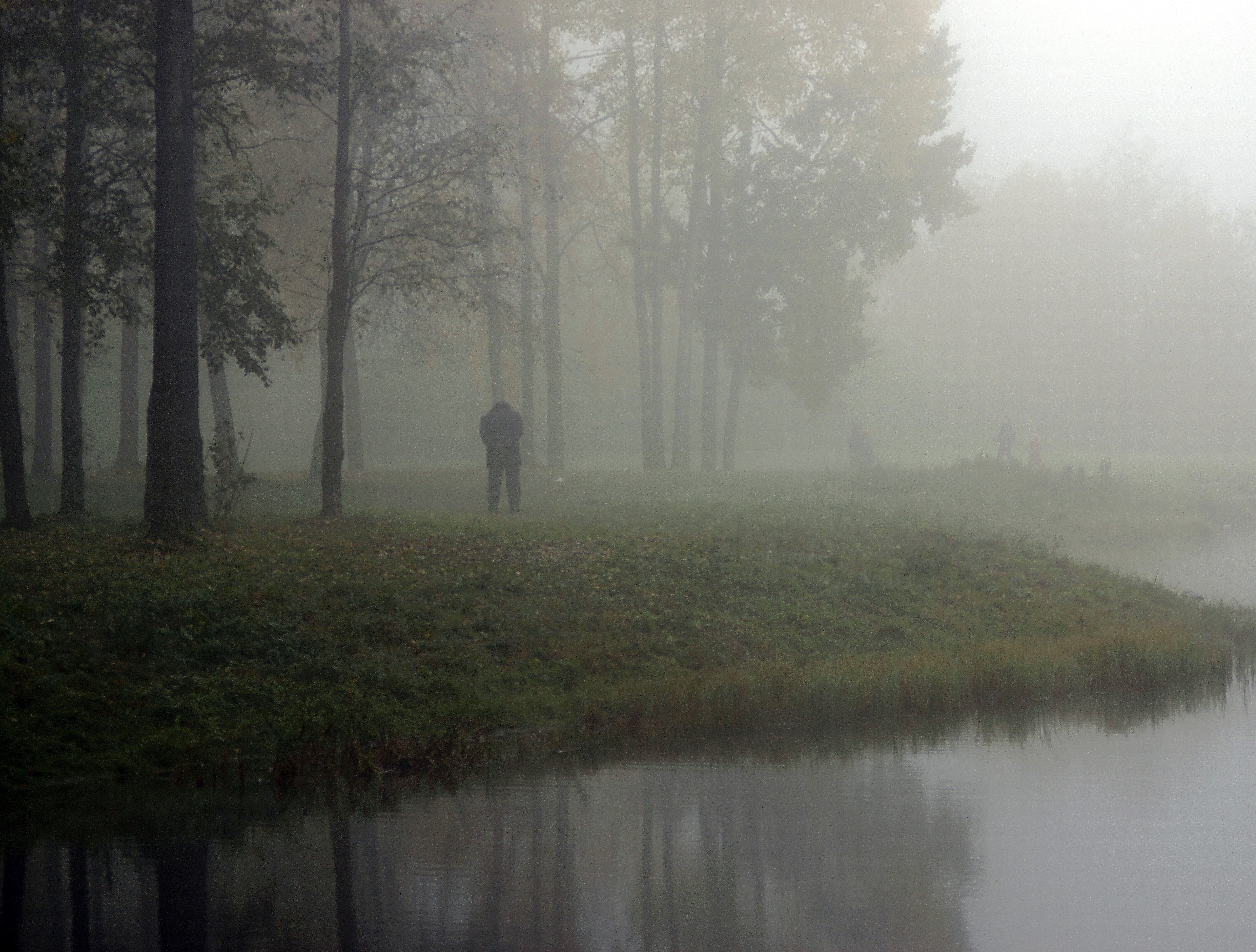 In the fog. Человек в тумане. Съемка в тумане. Один человек в тумане. Туманный человек.