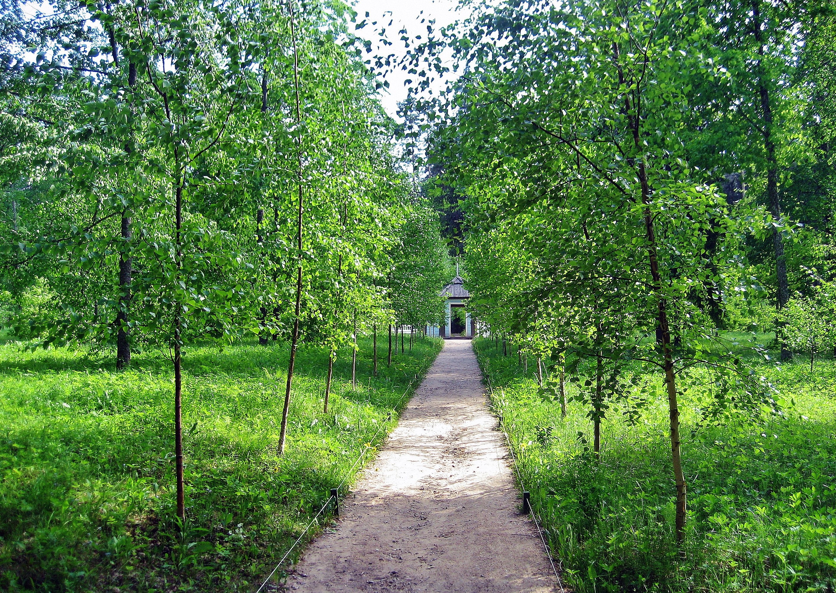 михайловский парк в москве