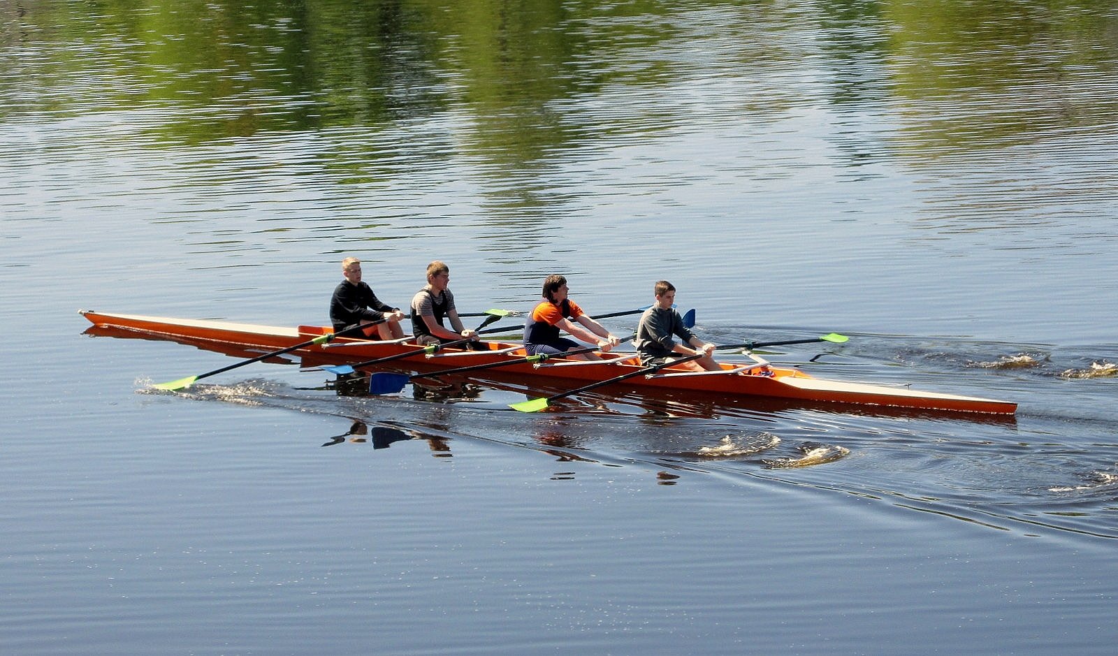 Пёстрые гребцы