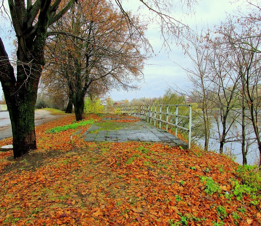 Псковская осень фото