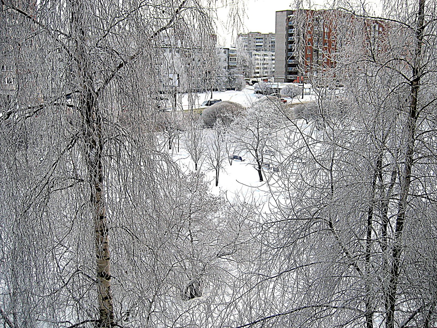 Вид из окна зимой фото