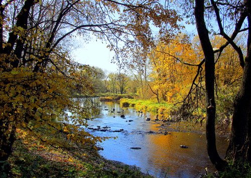 Осенью у реки
