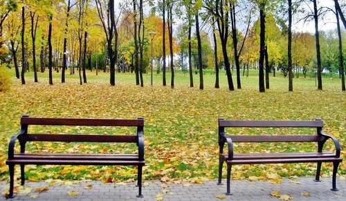 Скамейки в осеннем парке