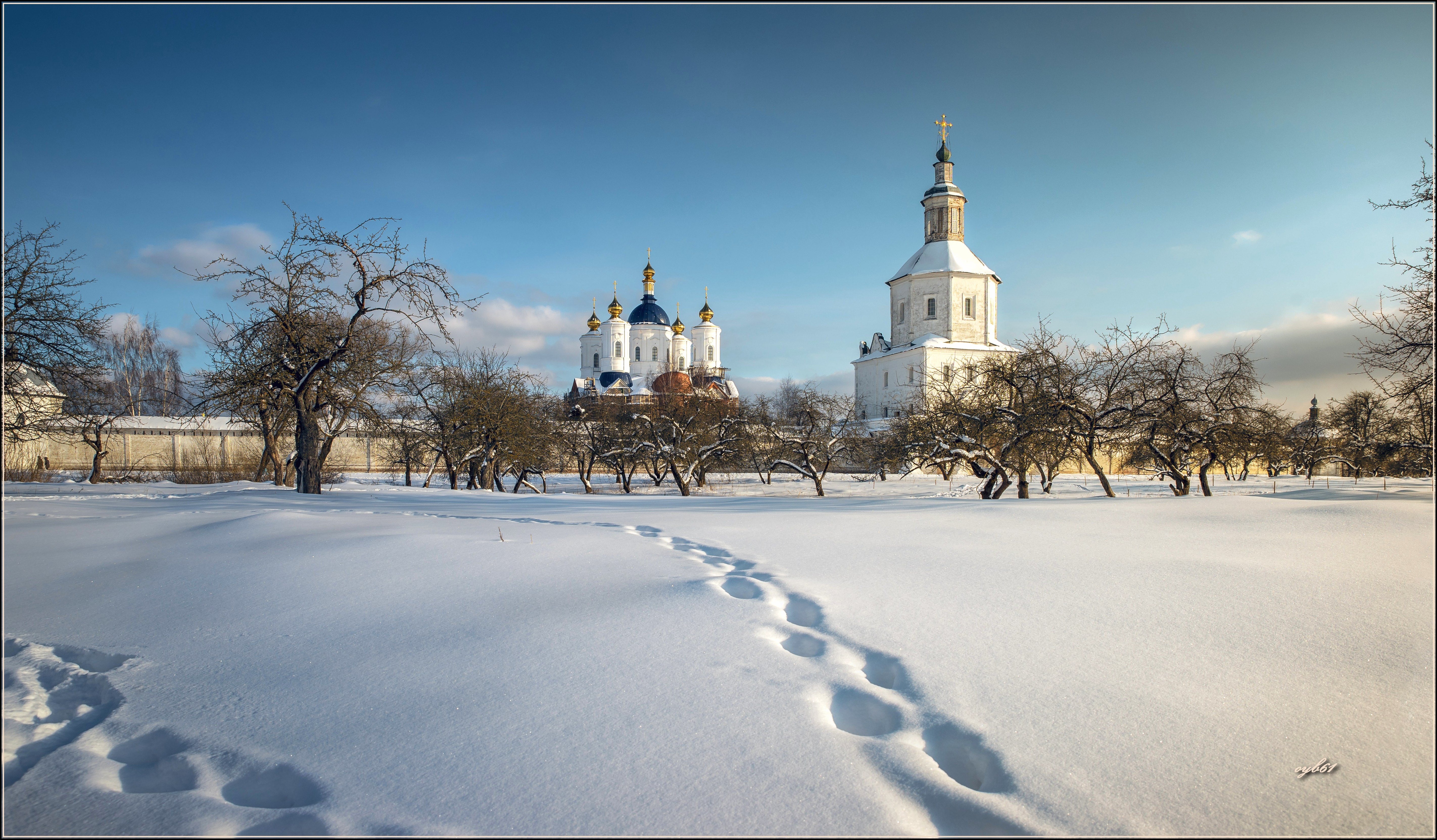 Свенский монастырь картина