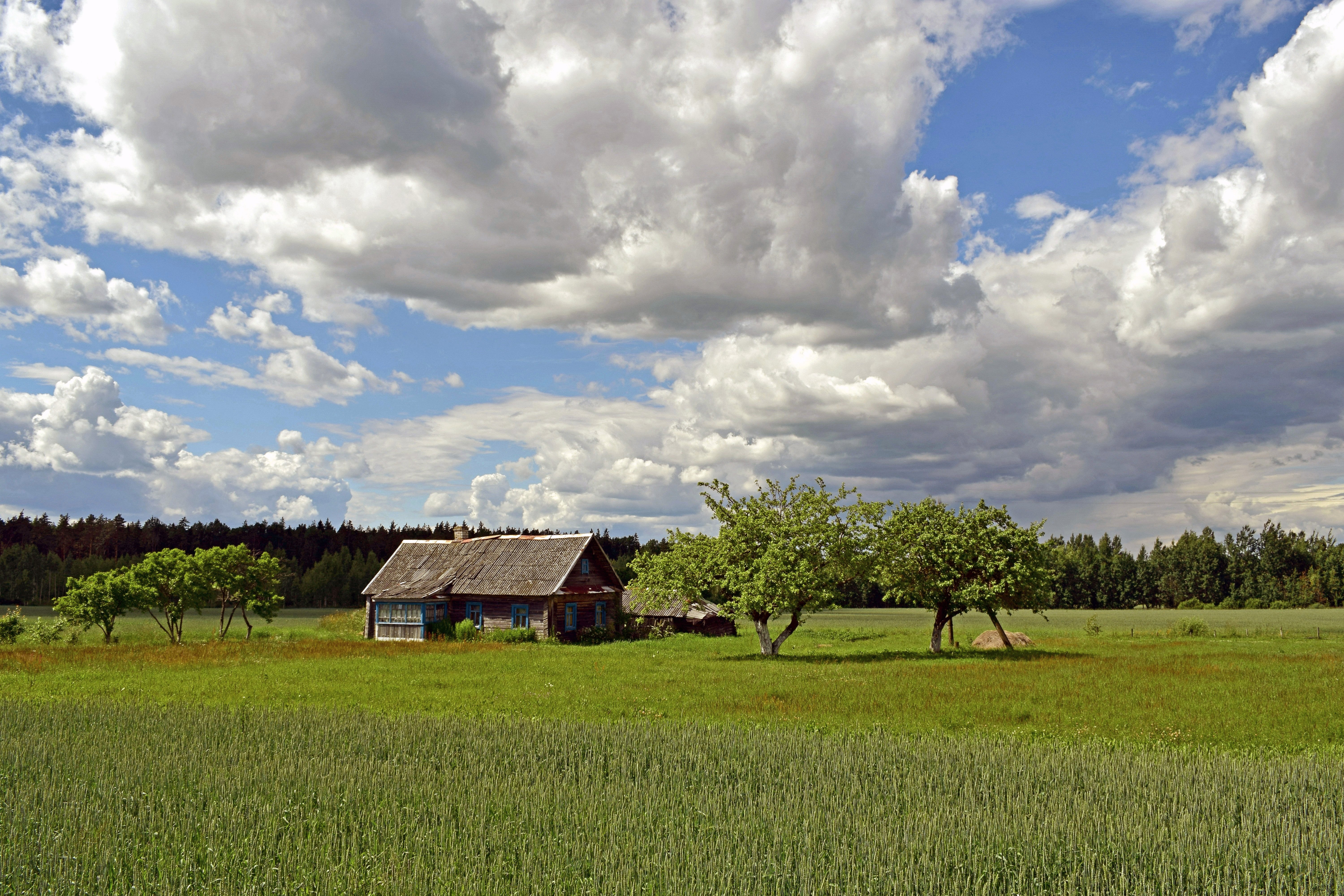 Хутор фото. Хутор Хуторок. Хутор курень поле. Деревенский Хуторок. Украина август Хутор.