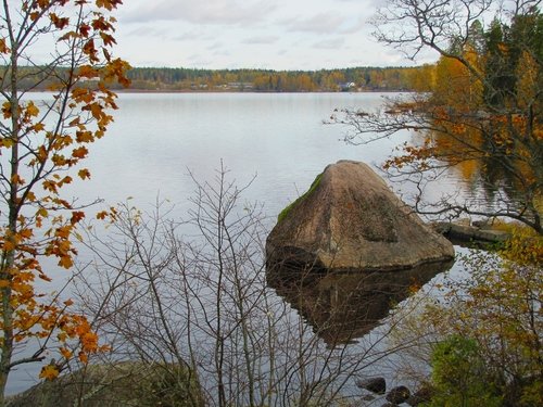 Парк Монрепо