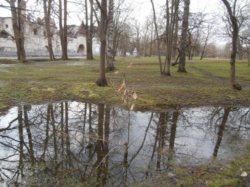 Весенняя зарисовка